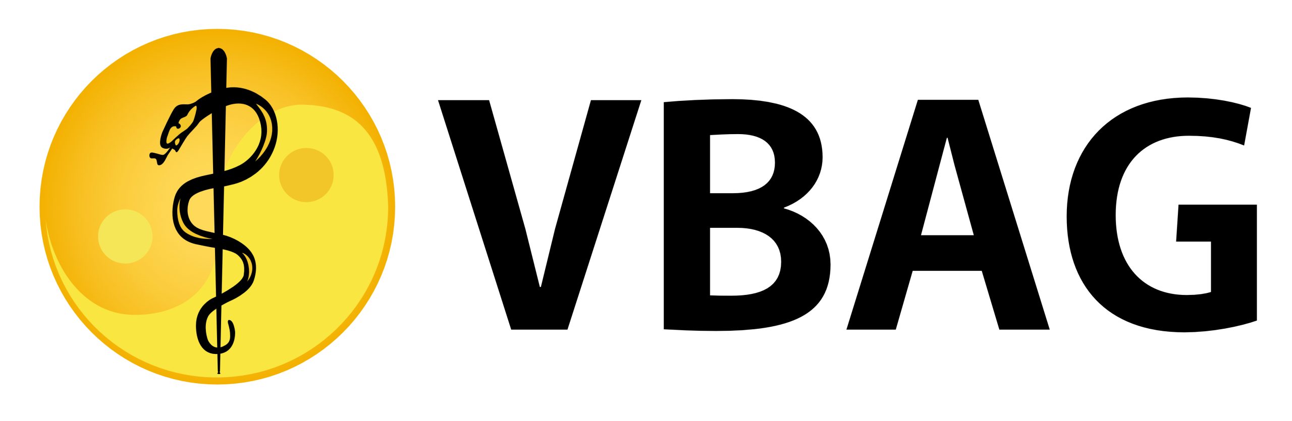 Logo VBAG